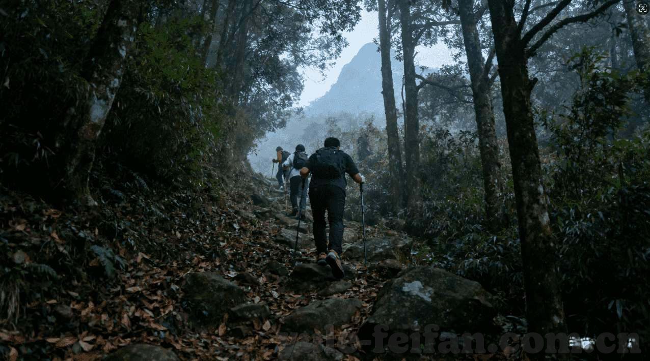 梭哈和德州扑克炸金花-梭哈与德州扑克炸金花，策略与激情的碰撞